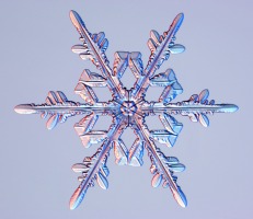 Snowflake 1